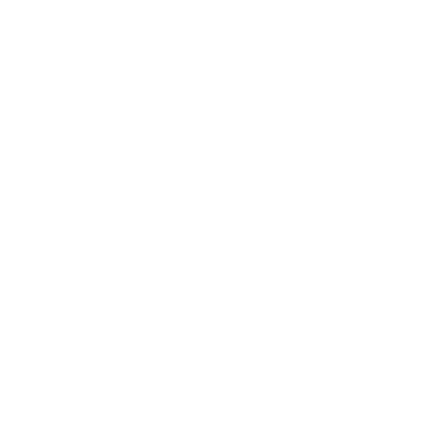RB F1 Team